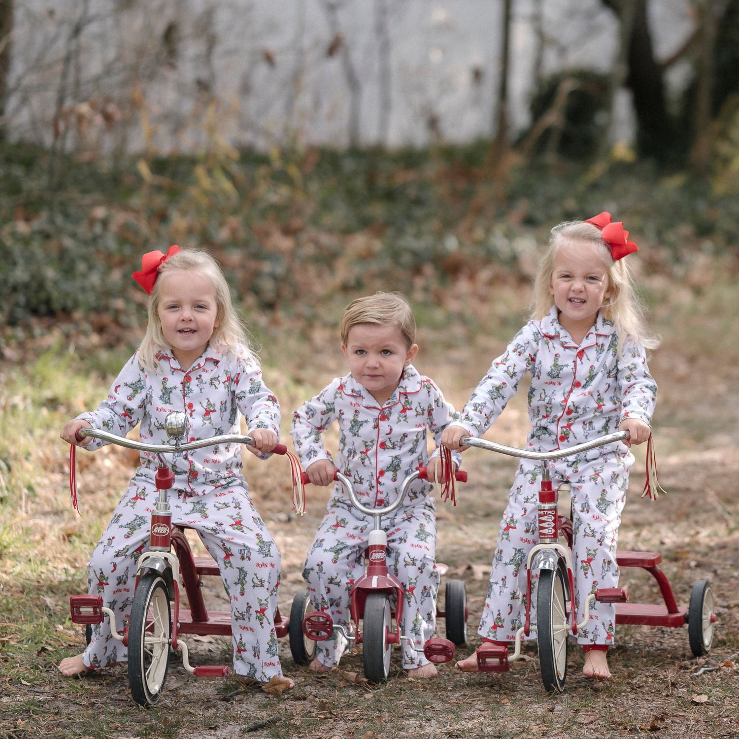 Christmas minis Delaware photography Photographer