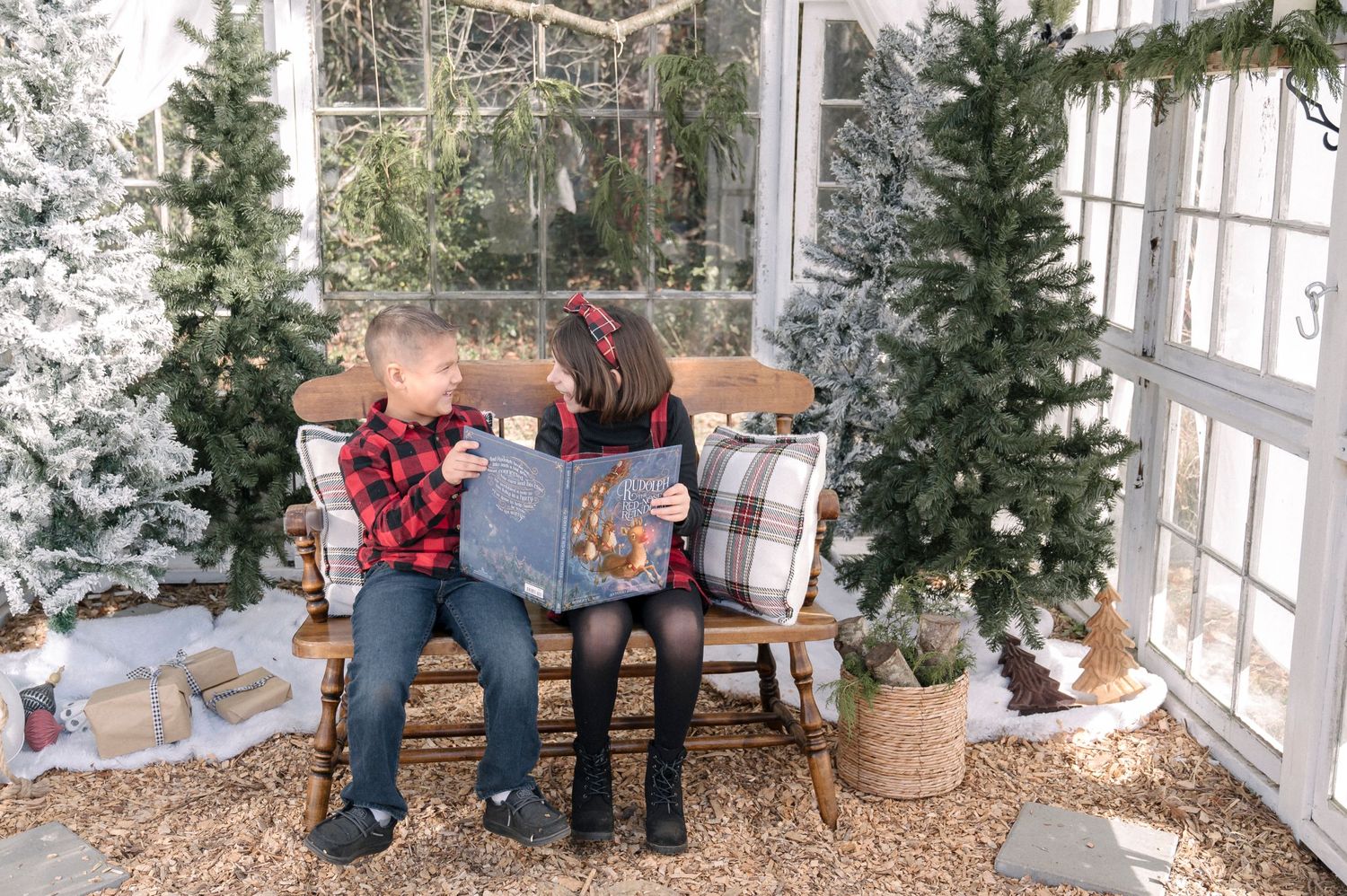 Delaware Christmas mini session, Delaware Photographer