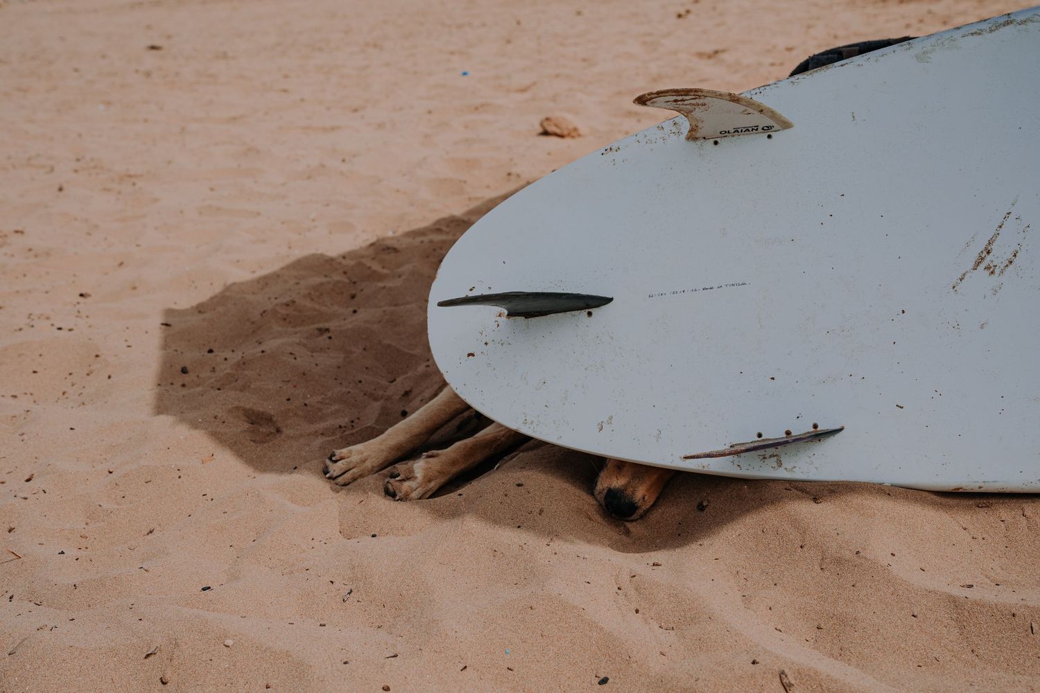 A white surfboard casting a shadow on sandy beach with footprints visible underneath.