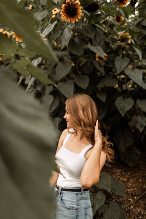 Artistic photo of sunflowers with soft focus foliage in garden setting.