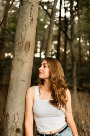 Atmospheric forest scene with sunlit trees and natural bokeh effect.