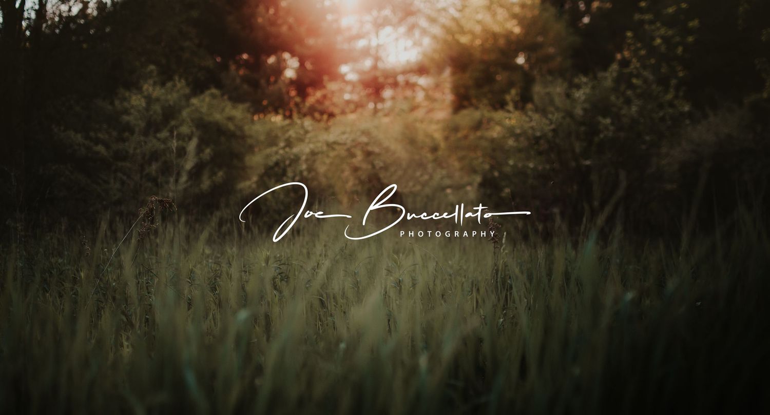 Watermark signature overlaid on blurred nature background with golden sunset.