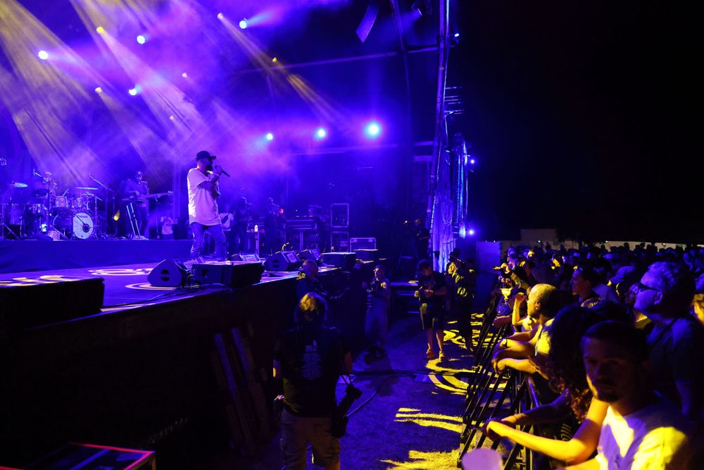 Concert crowd watches performer on stage bathed in purple lighting effects.