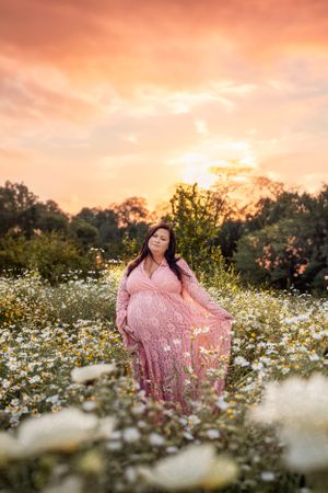 Maternity portrait in pink lace dress amid wildflower field during sunset.
