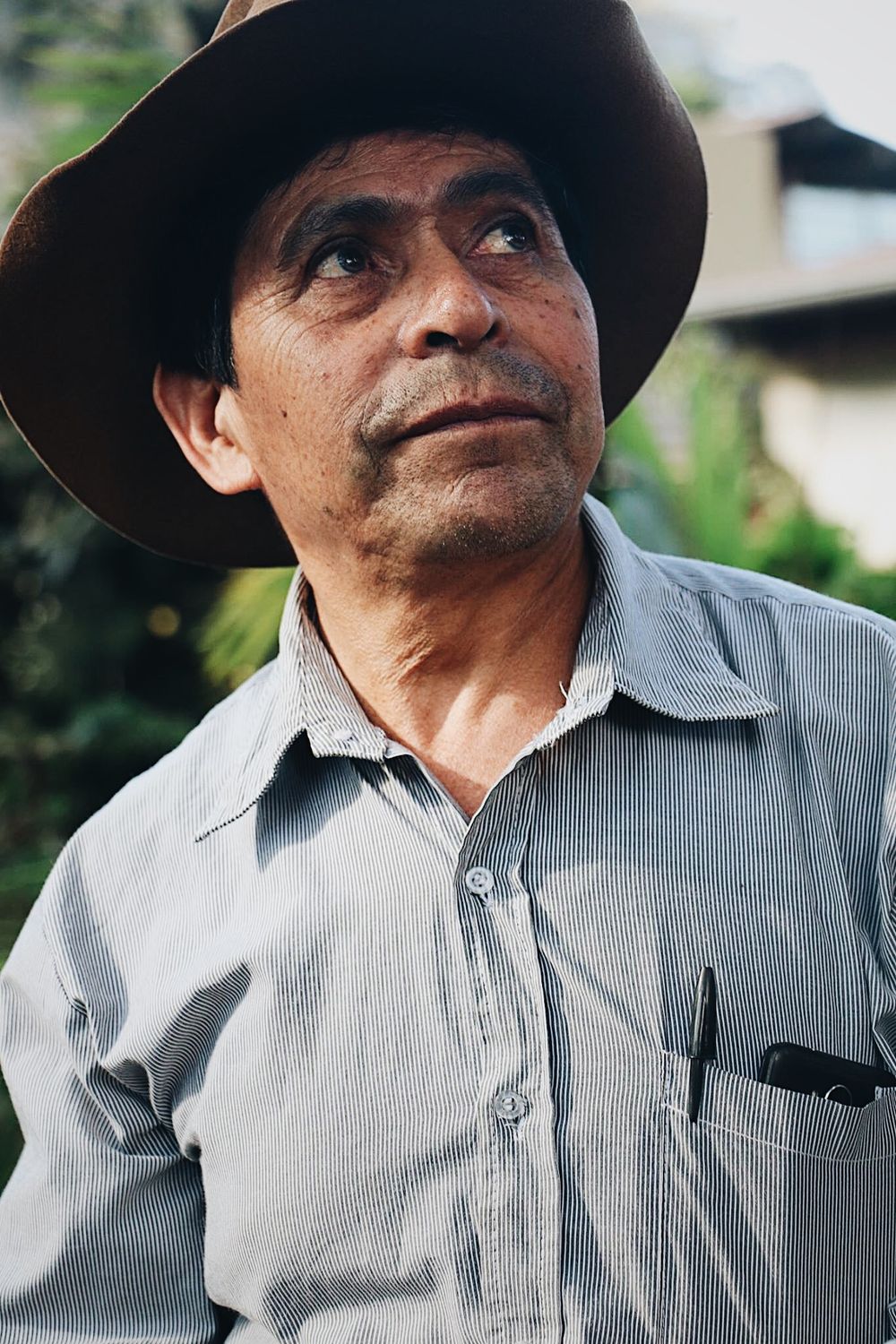 Man wearing a striped shirt and cowboy hat gazes upward with a contemplative expression in an outdoor setting.