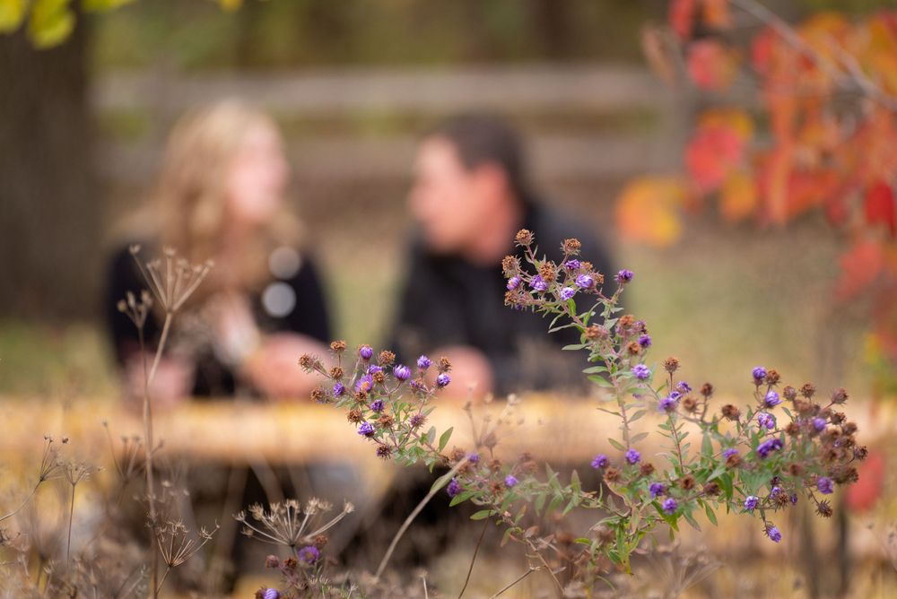 Colorful autumn flowers and foliage in soft focus creating a romantic outdoor setting.
