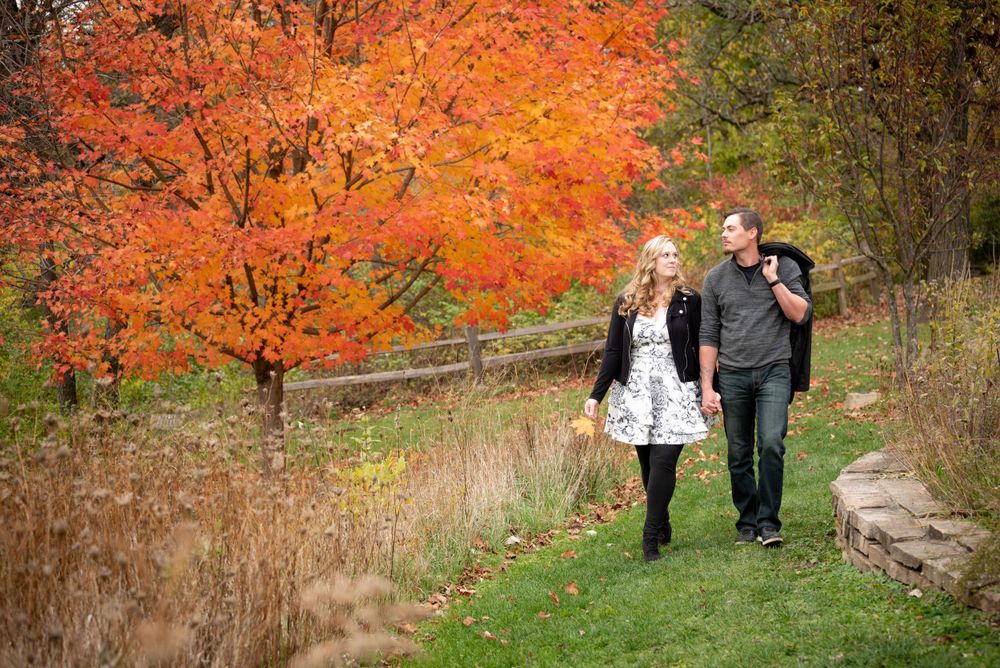 Walking path through vibrant orange and red fall foliage in park setting.