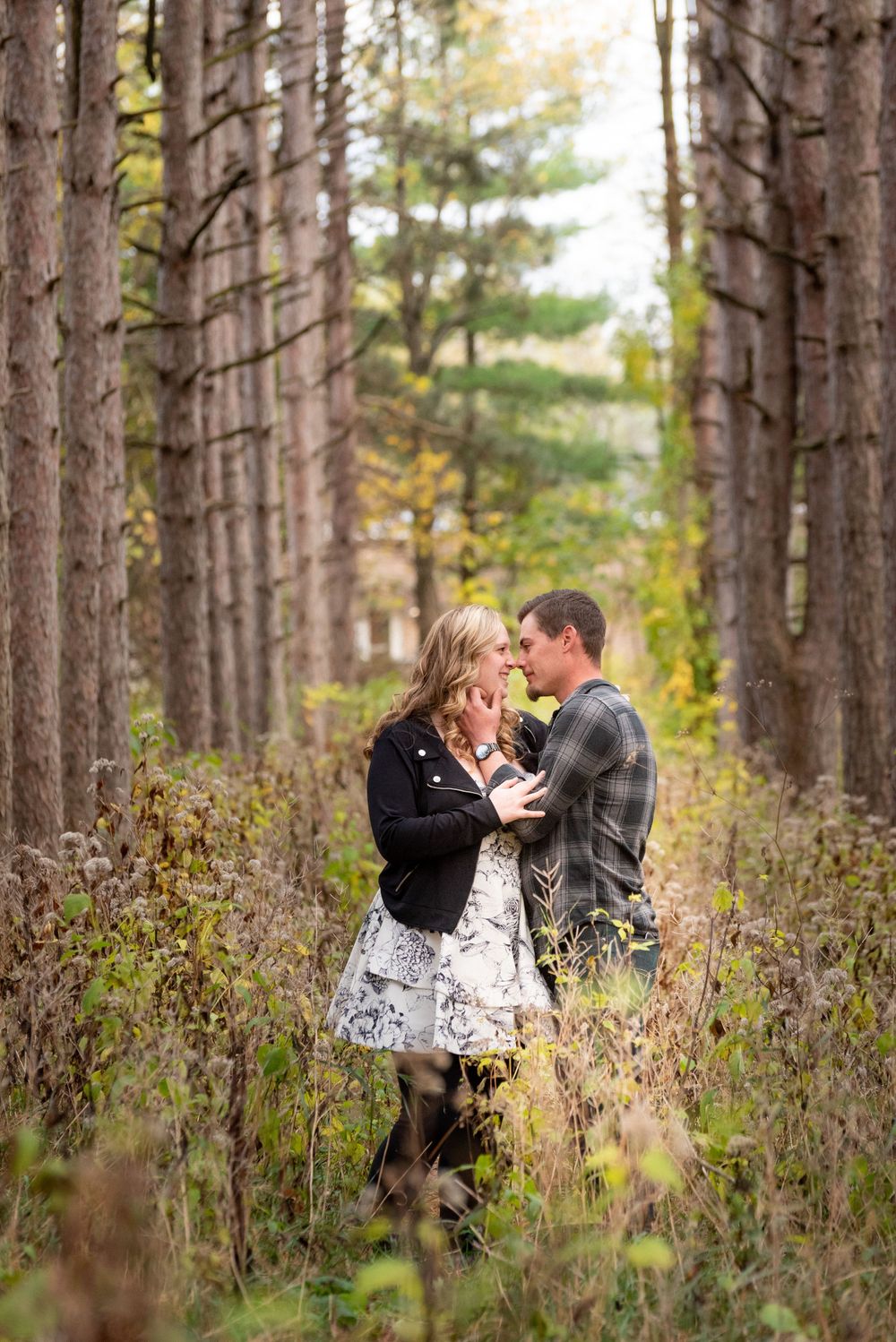 An intimate moment photographed between pine trees in a forest setting.