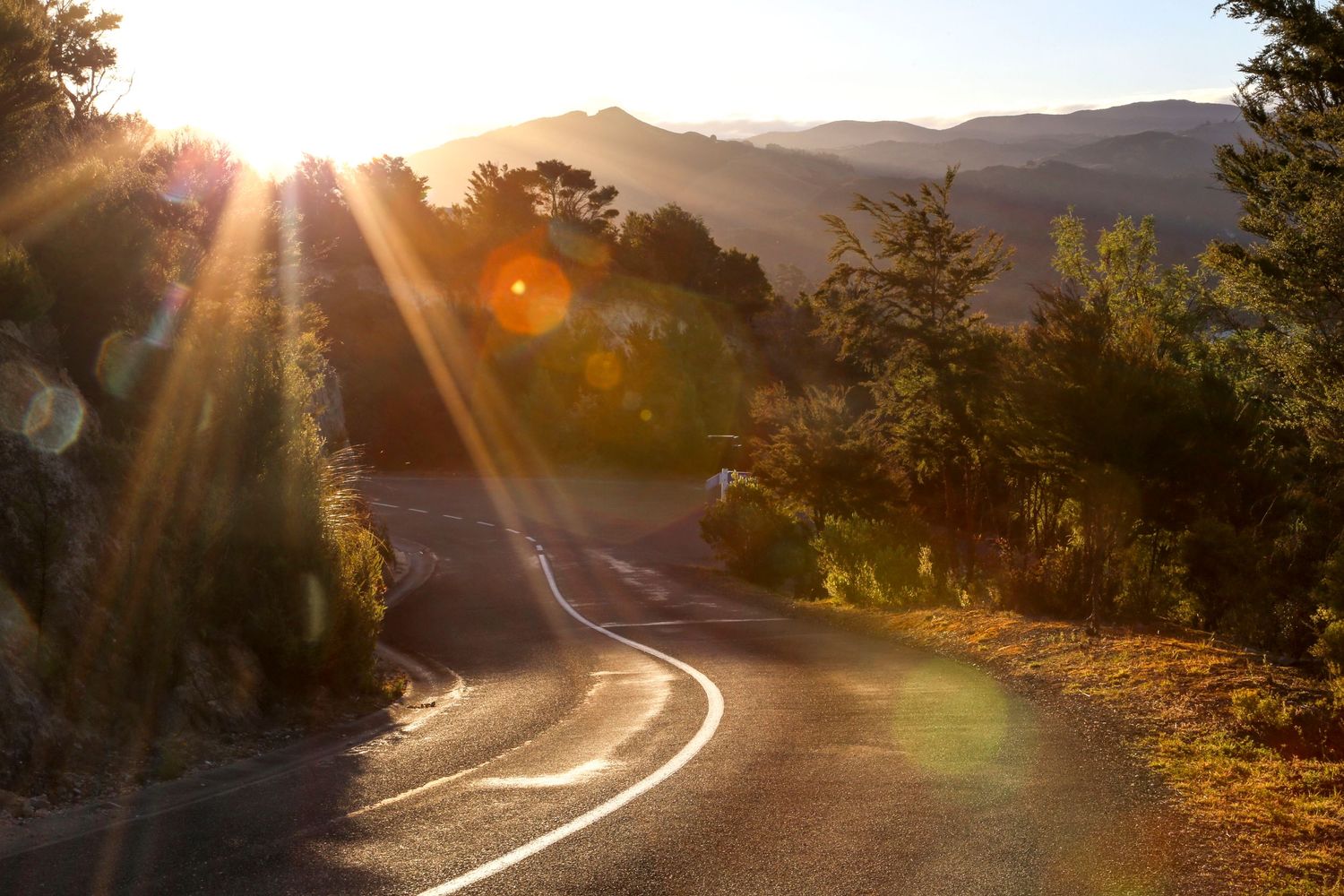 Golden sunset rays burst over a winding mountain road lined with trees in a scenic landscape.