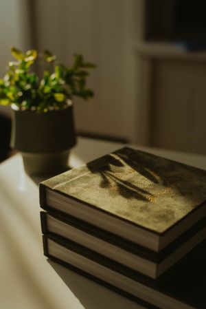 Stack of dark leather-bound books on a white surface next to a small potted plant in soft lighting.