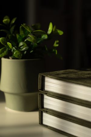 Three stacked books beside a green potted plant on a white surface with dramatic lighting.
