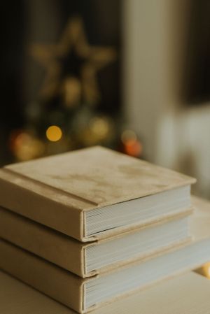 Three stacked cream-colored books with Christmas decorations blurred in background.