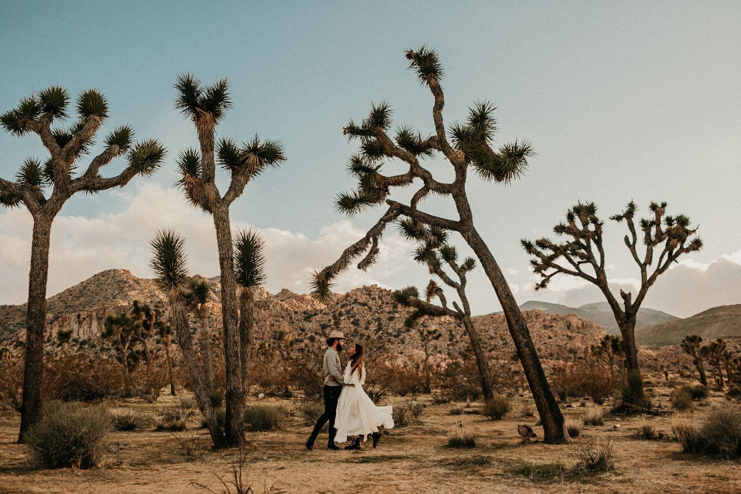 A couple embraces in a desert landscape surrounded by iconic Joshua Trees and rocky terrain at sunset.
