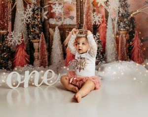 First Birthday winter cake smash