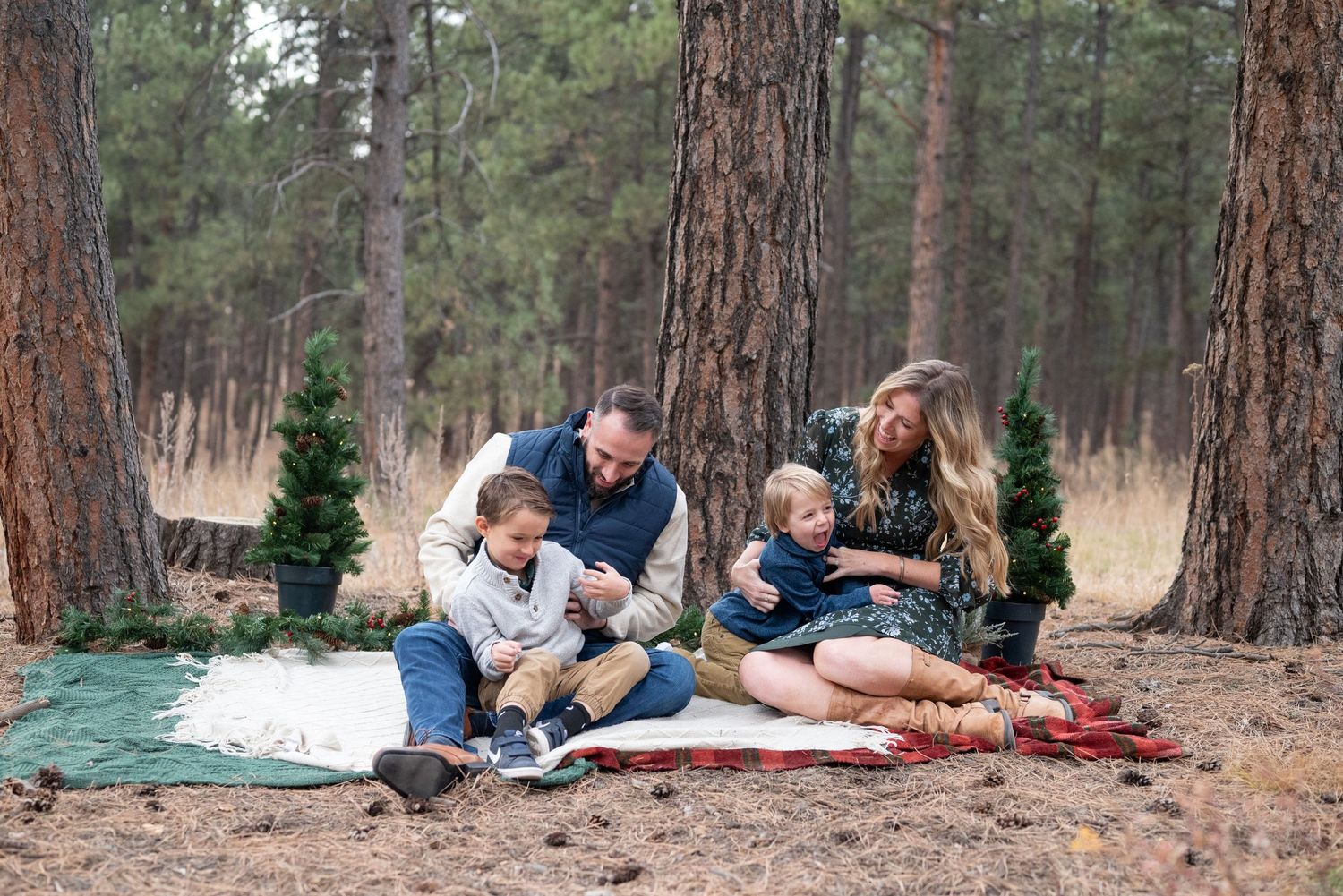 Holiday Mini Sessions in Colorado Springs