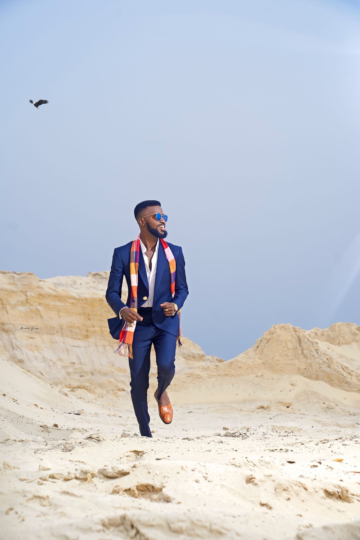 Person in tailored blue suit and orange tie walks gracefully through desert landscape with bird overhead.