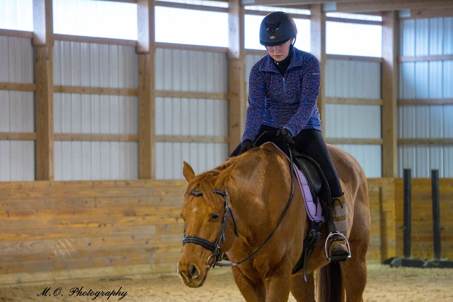 Equine photographer, Lehigh valley, black backgrounds, mo equine photography, horse and rider sessions, pet photography