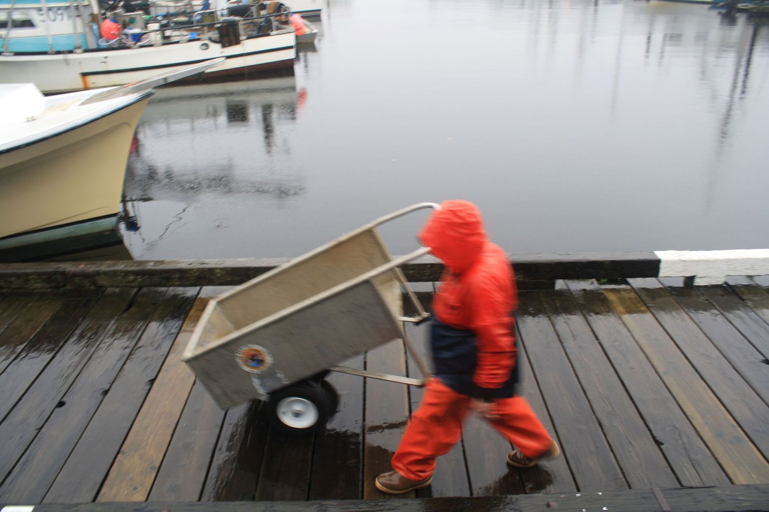 Man pushing a Cart in the Rain on a Dock in Alaska