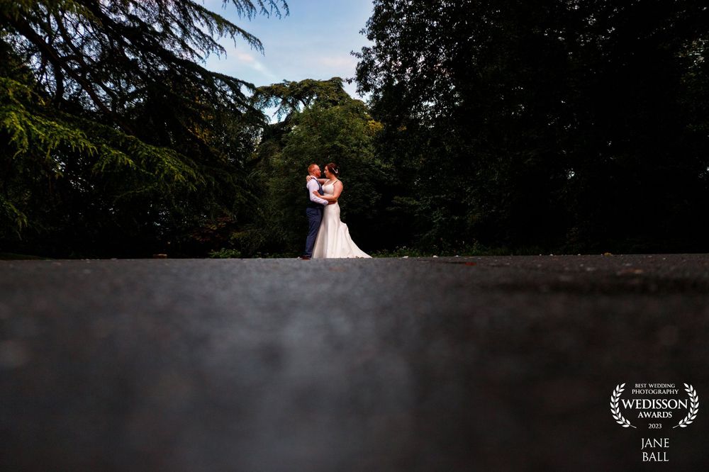 A creative low-angle shot of a couple against a dark forest backdrop.