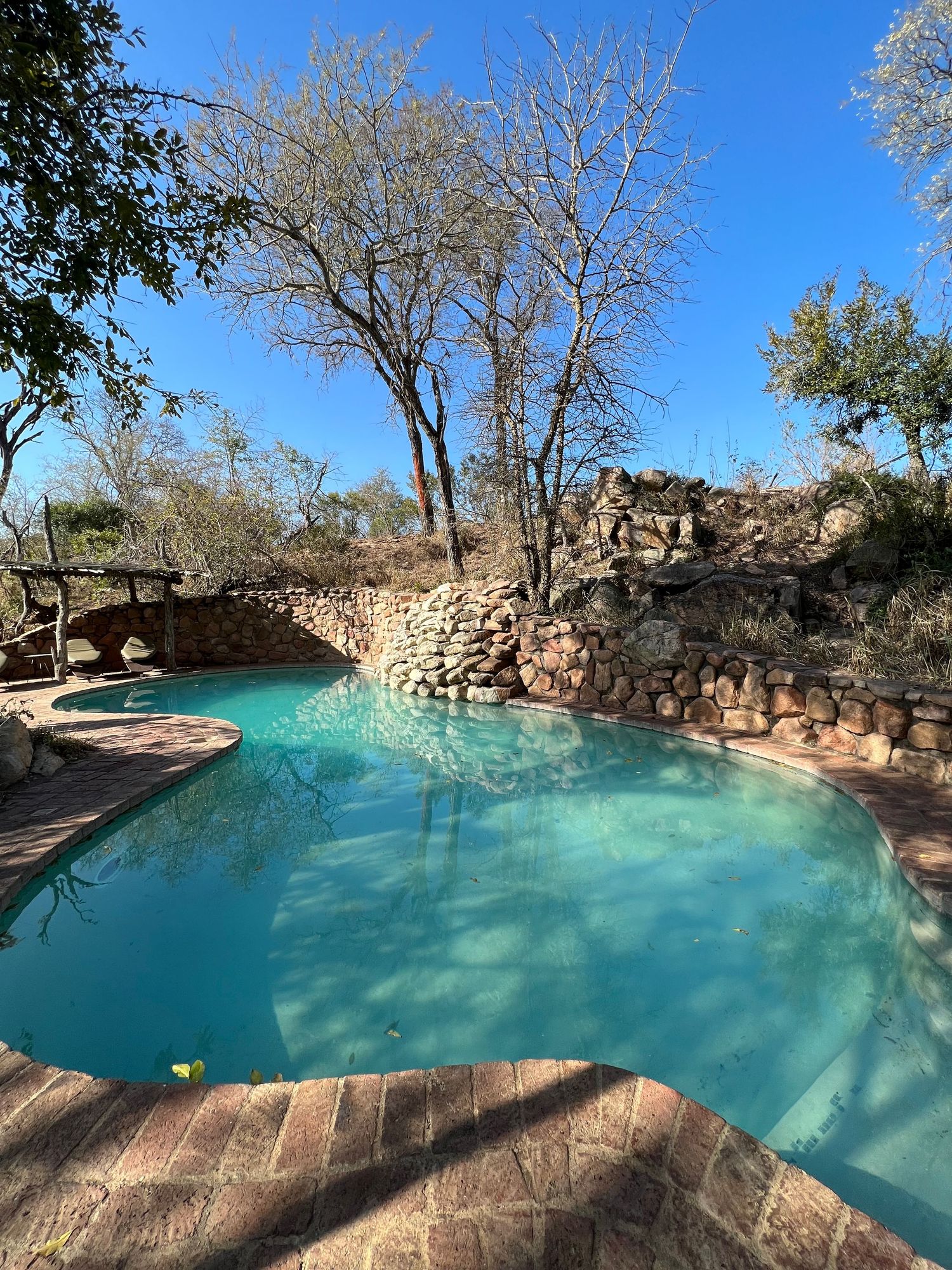 Turquoise pool with stone walls surrounded by natural landscaping at a luxury safari lodge.