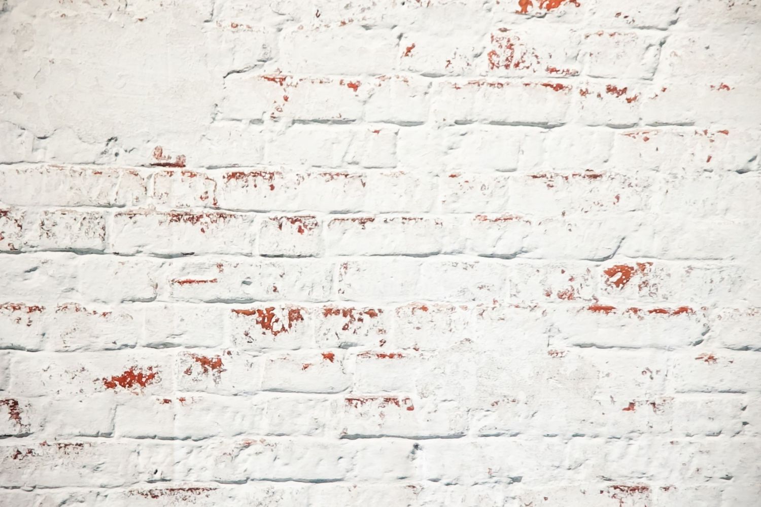 Distressed white brick wall with exposed red brick showing through worn paint.