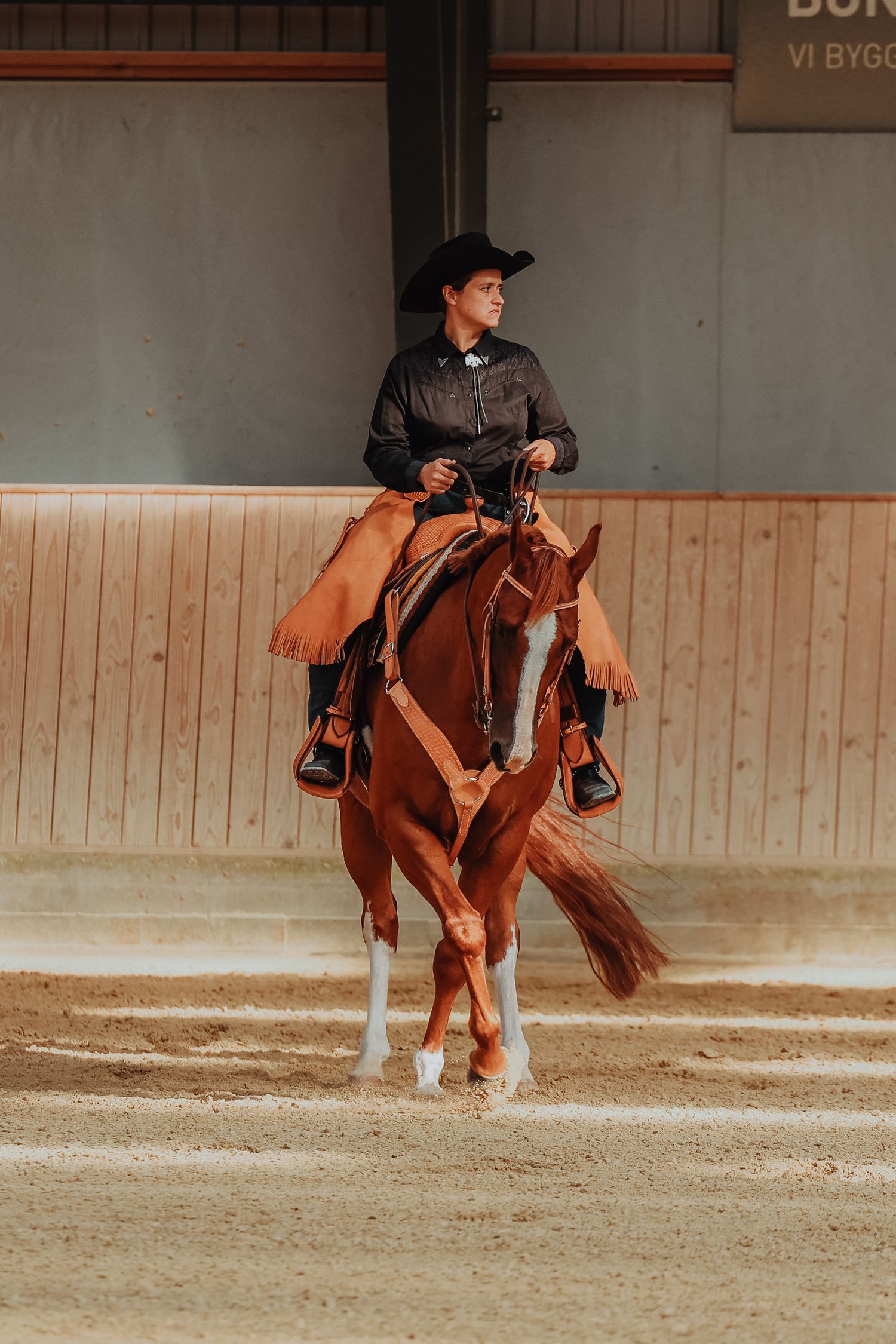 Rider performs on chestnut and white horse during indoor western riding competition.