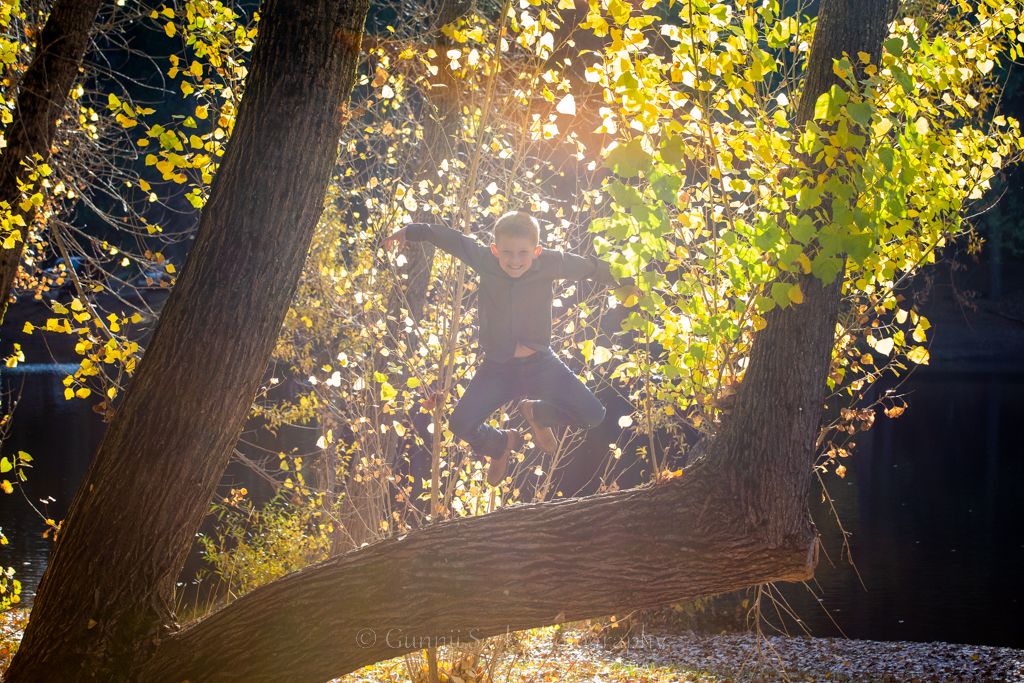 boys, gunnii sack photography, trees, white pines lake, arnold ca, fall folors