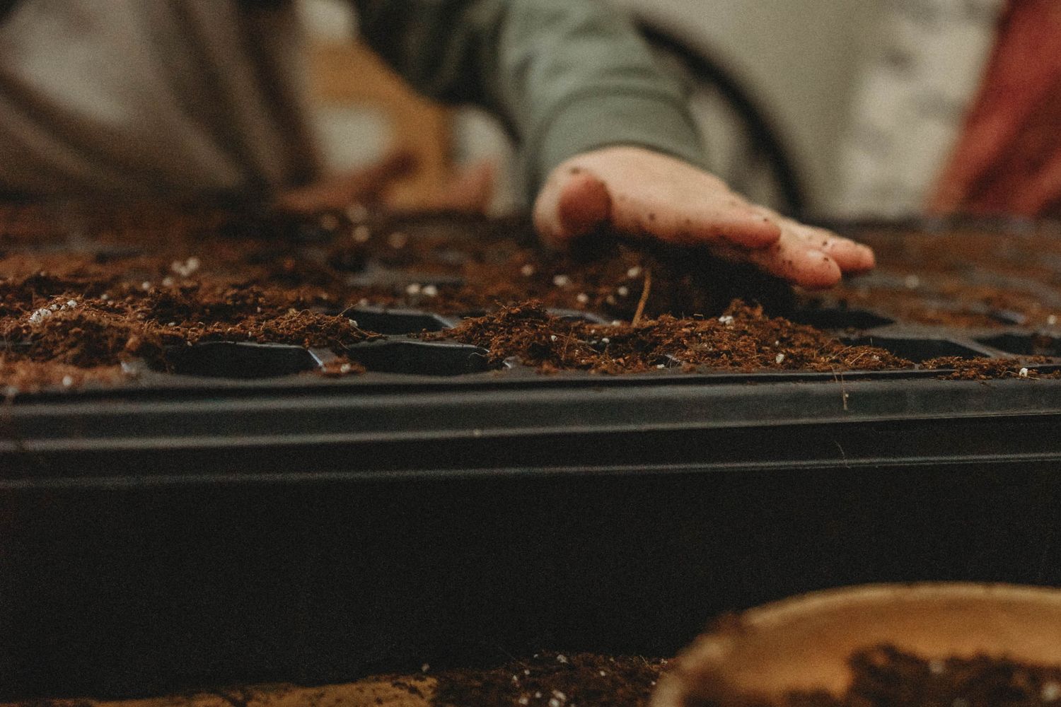 A hand working with soil in a planting tray for gardening.