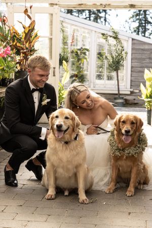 Cora Emilie Media Three happy golden retrievers wearing floral collars pose with the wedding couple.