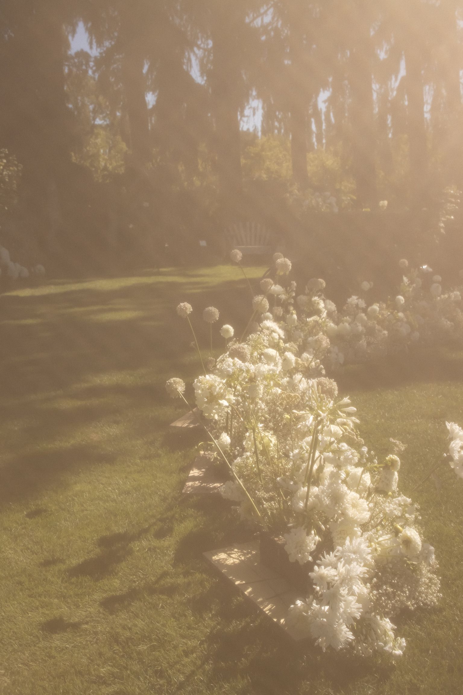Cora Emilie Media Sunlit garden path lined with white flowers creates a dreamy wedding atmosphere.