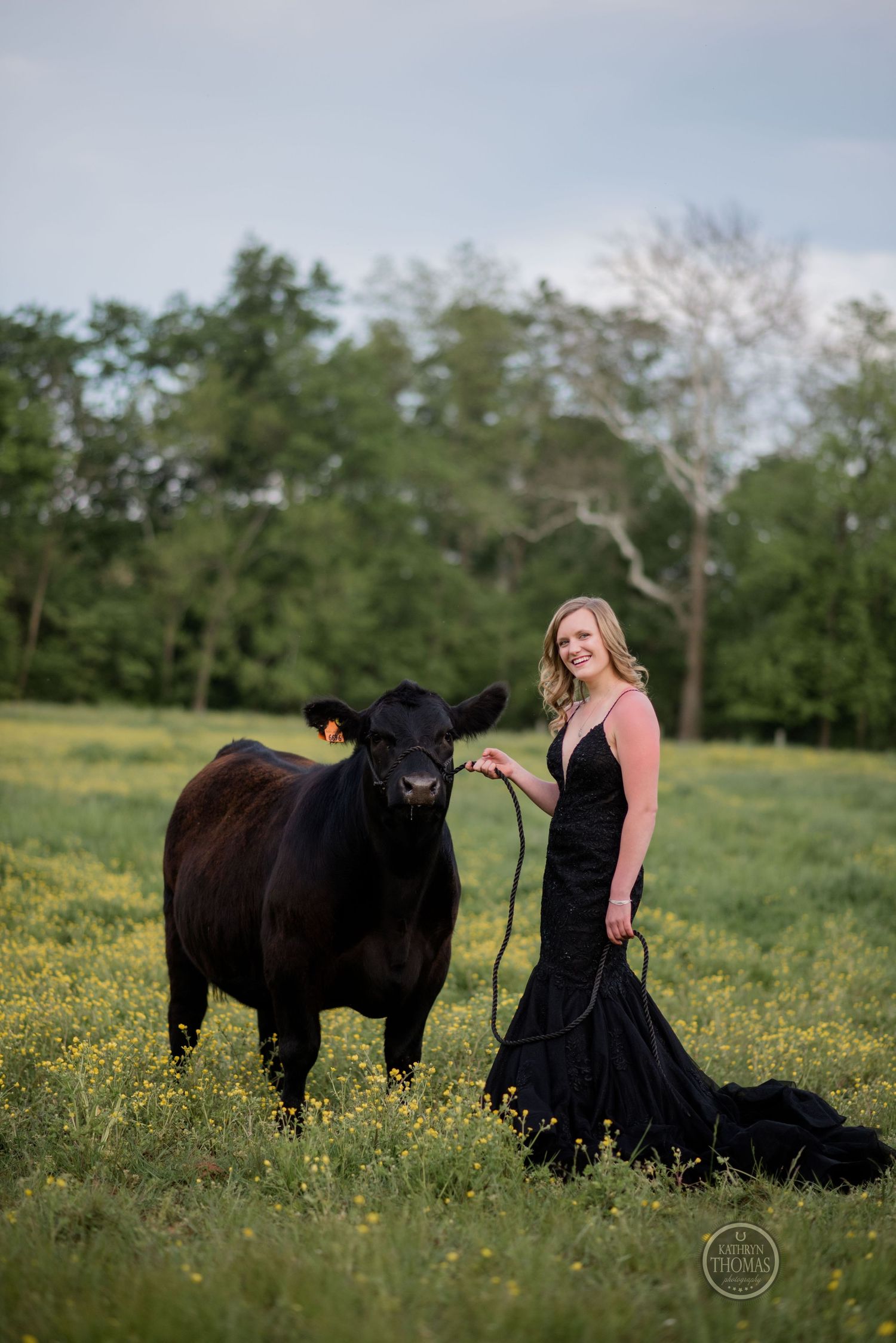Elegant portrait with black cow and woman in formal dress standing in field of yellow flowers.