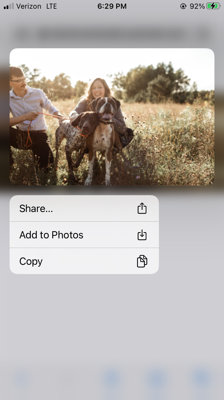 Mobile share menu displaying options for a photo in iOS interface.