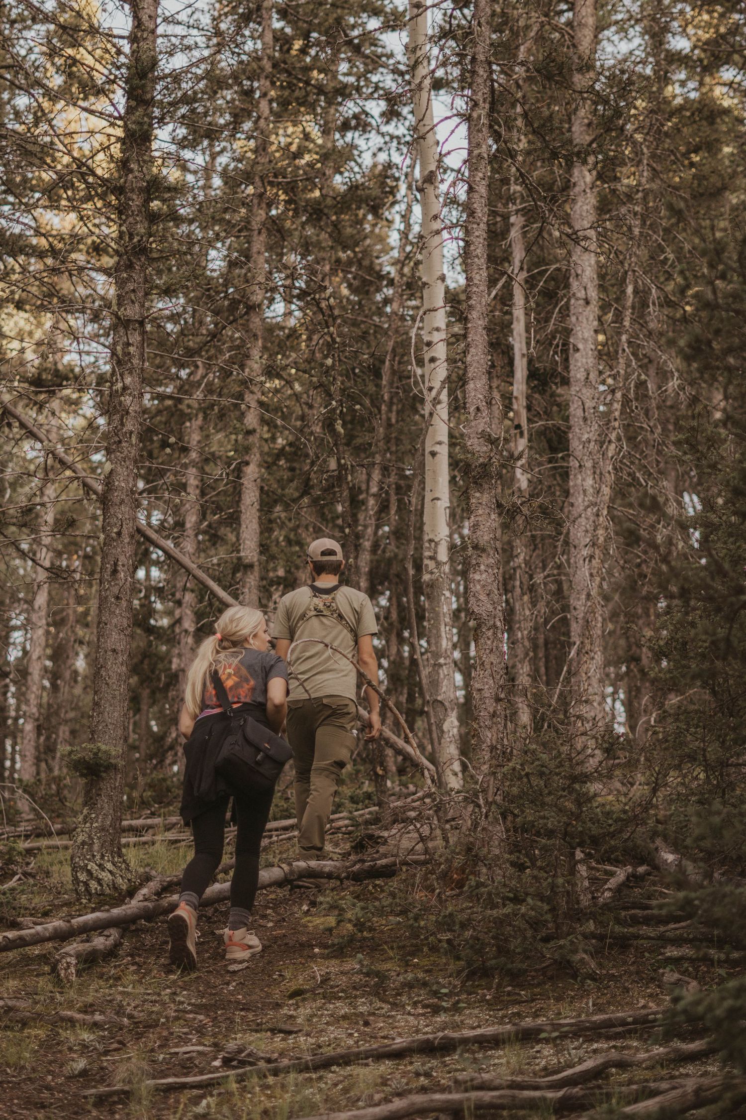 Two people hiking together through a birch forest on a dirt path.