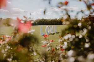 The word 'LOVE' appears in focus with blurred pink flowers and greenery in the background.