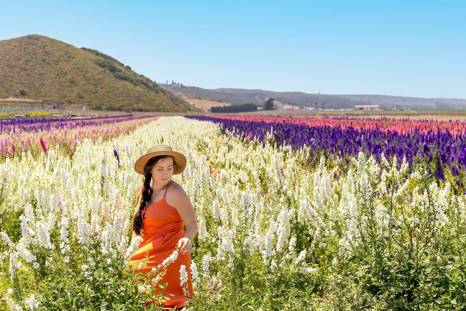 Woman in an orange dress and straw hat, kneeling in flower fields, looking at flowers, mountain and blue sky behind