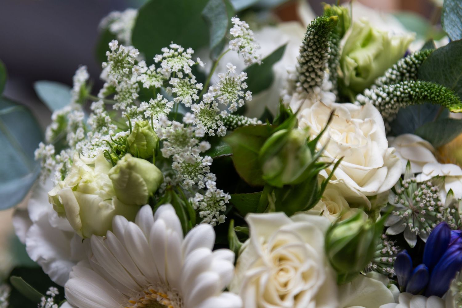 Close-up of elegant white and cream wedding bouquet with roses, daisies and delicate greenery.