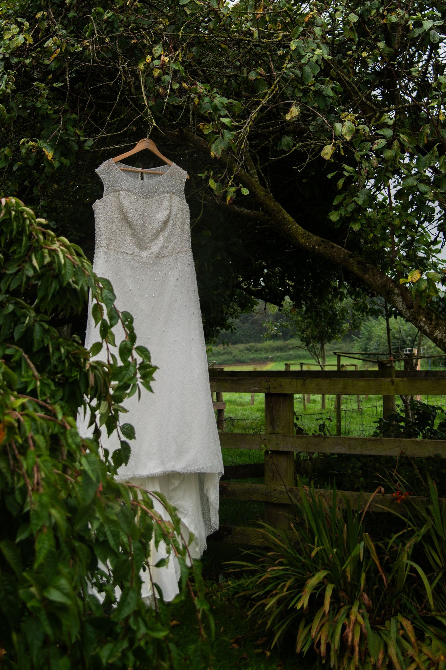 A white wedding dress hangs elegantly from a hanger against lush green foliage in a garden setting.