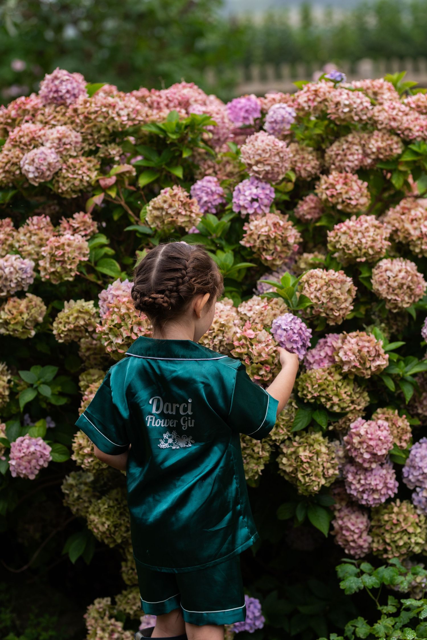 Person in teal robe admiring pink hydrangea bushes in a garden.