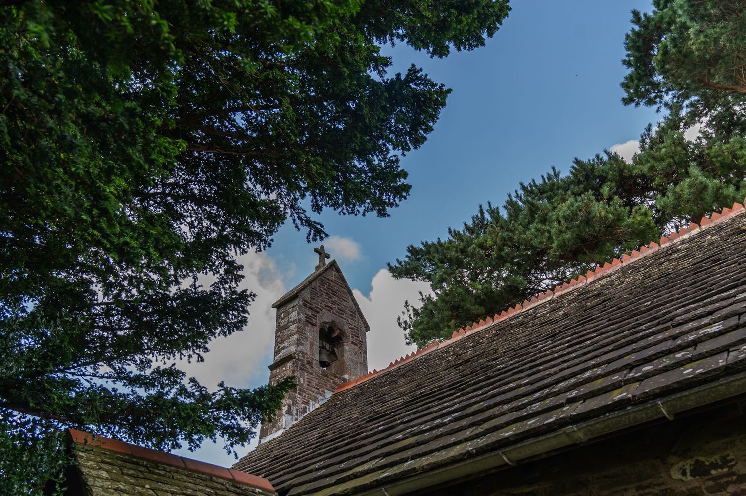 Stone church tower and roof visible through green tree branches against a blue sky.