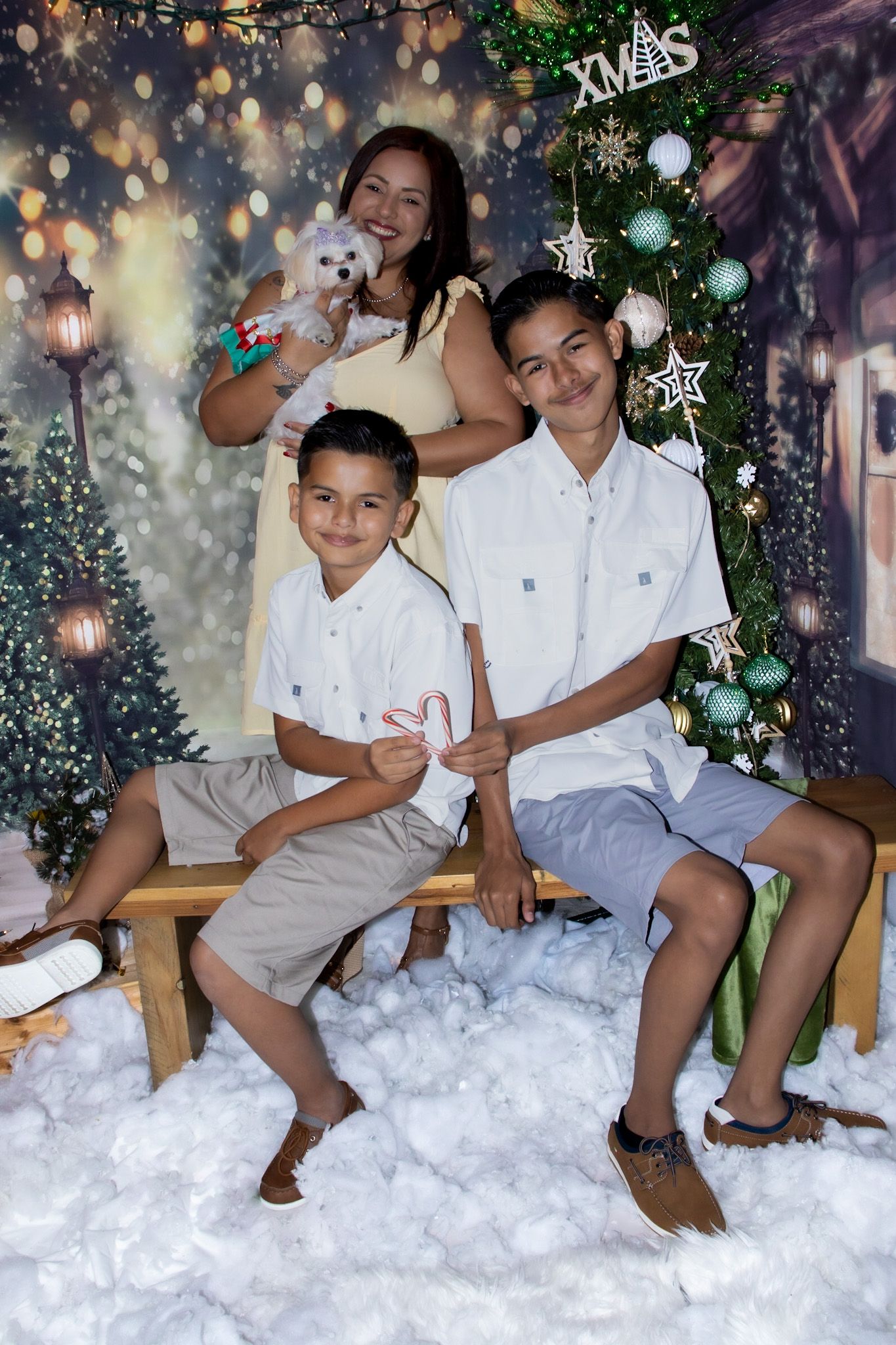 Fotos Temporada Navidad