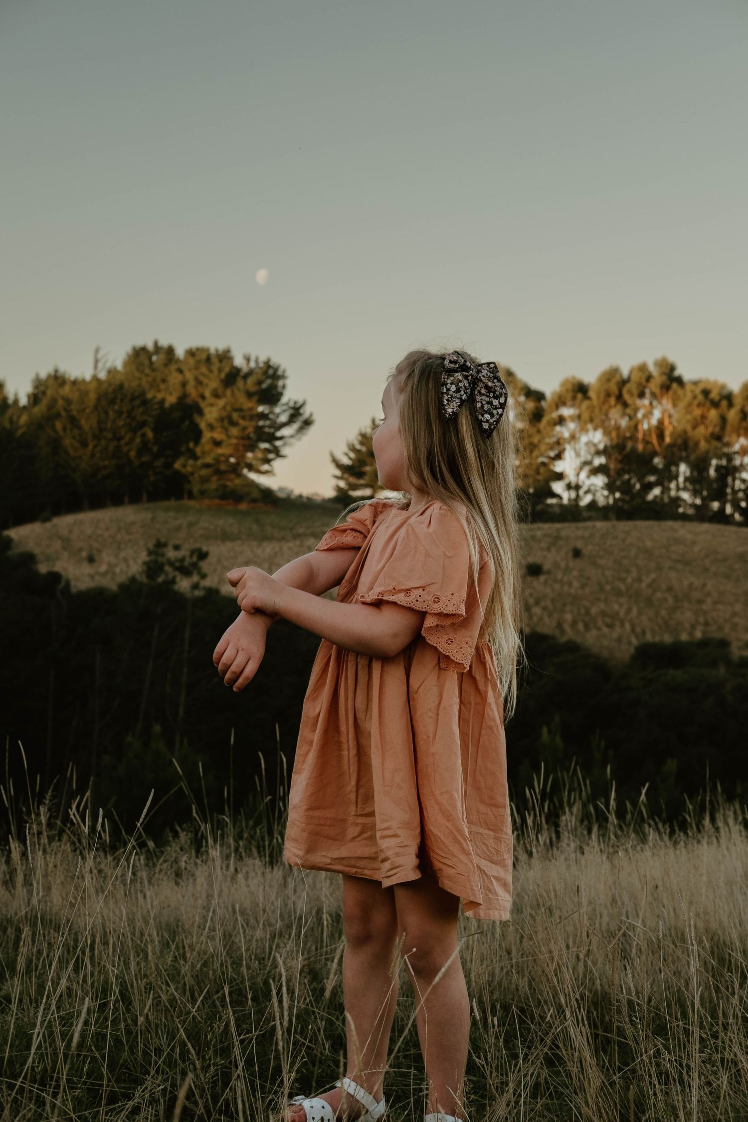 Dusk Photoshoot Dunedin