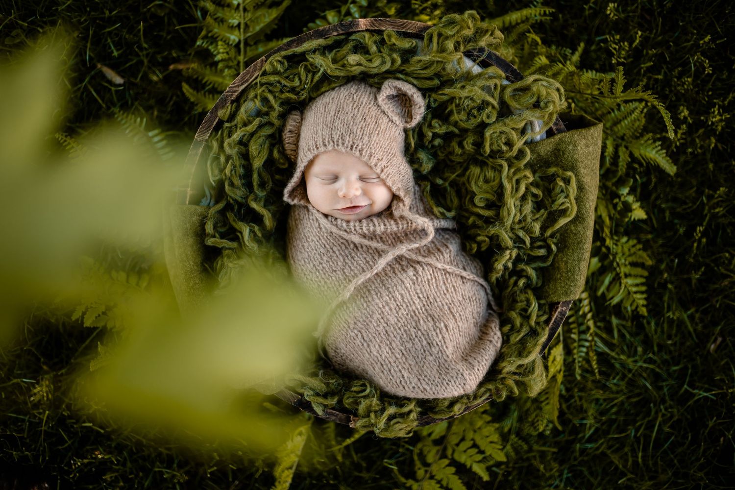 Newborn Photos Paynesville, MN Central MN