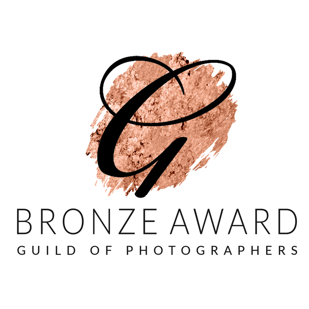 the guild bronze award