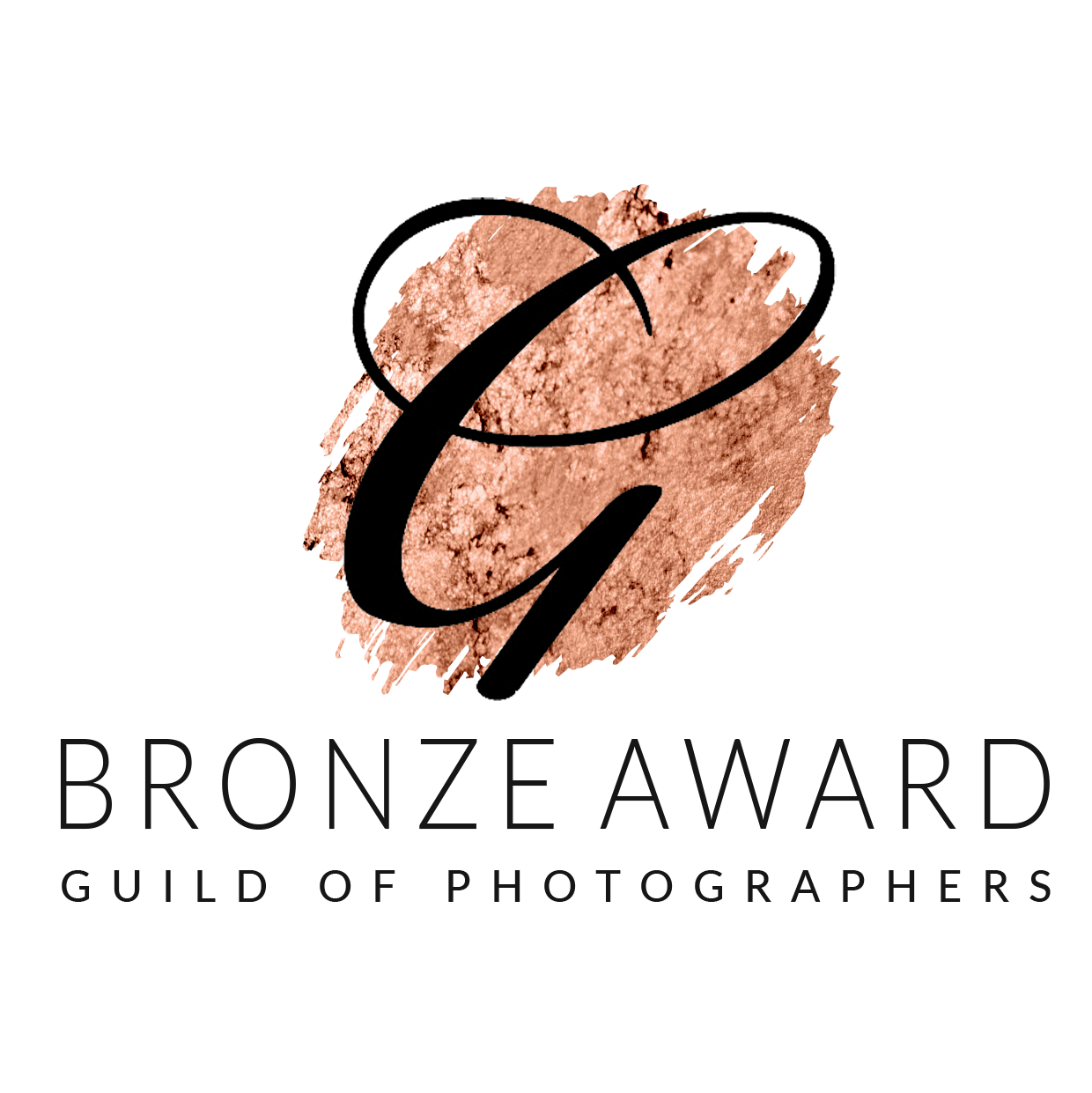 the guild bronze award