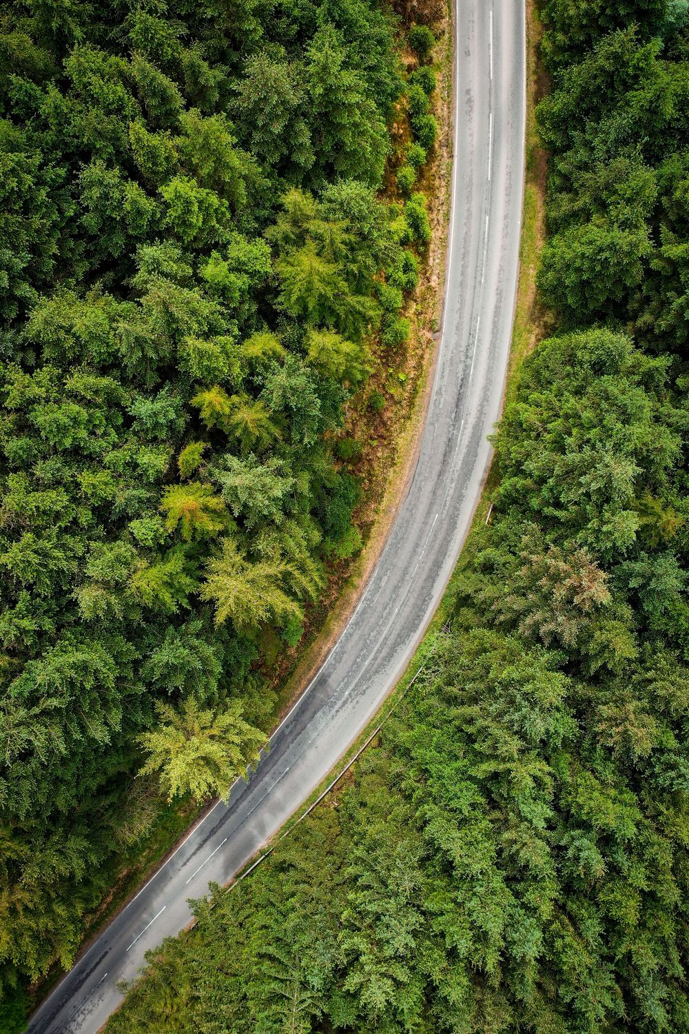 Landscape Photography