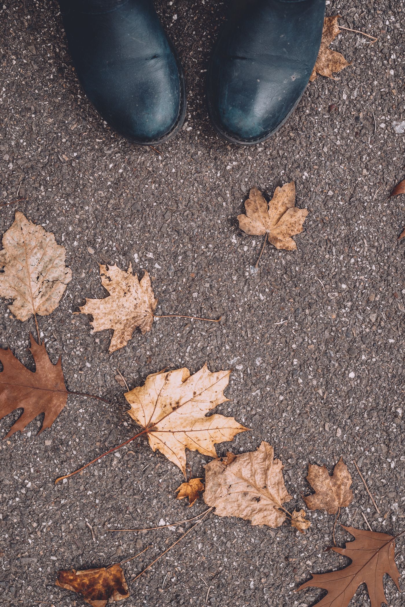 couleurs d'automne