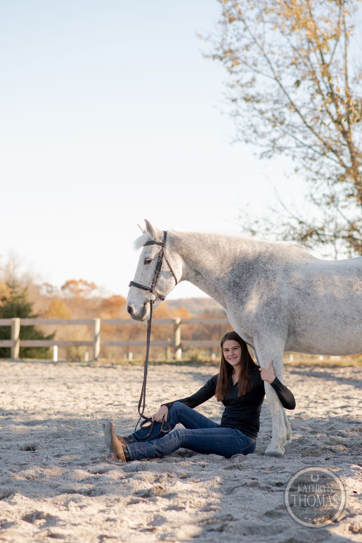 A serene moment between a white horse and companion sitting in a sandy arena.