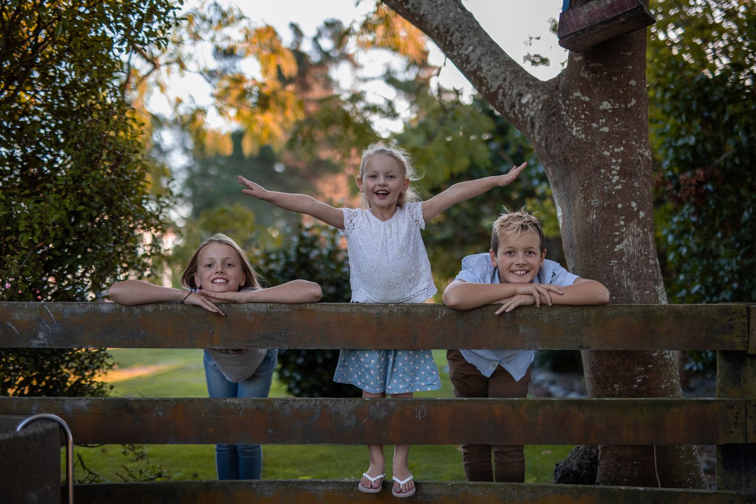 Family photos outdoors Waikato location