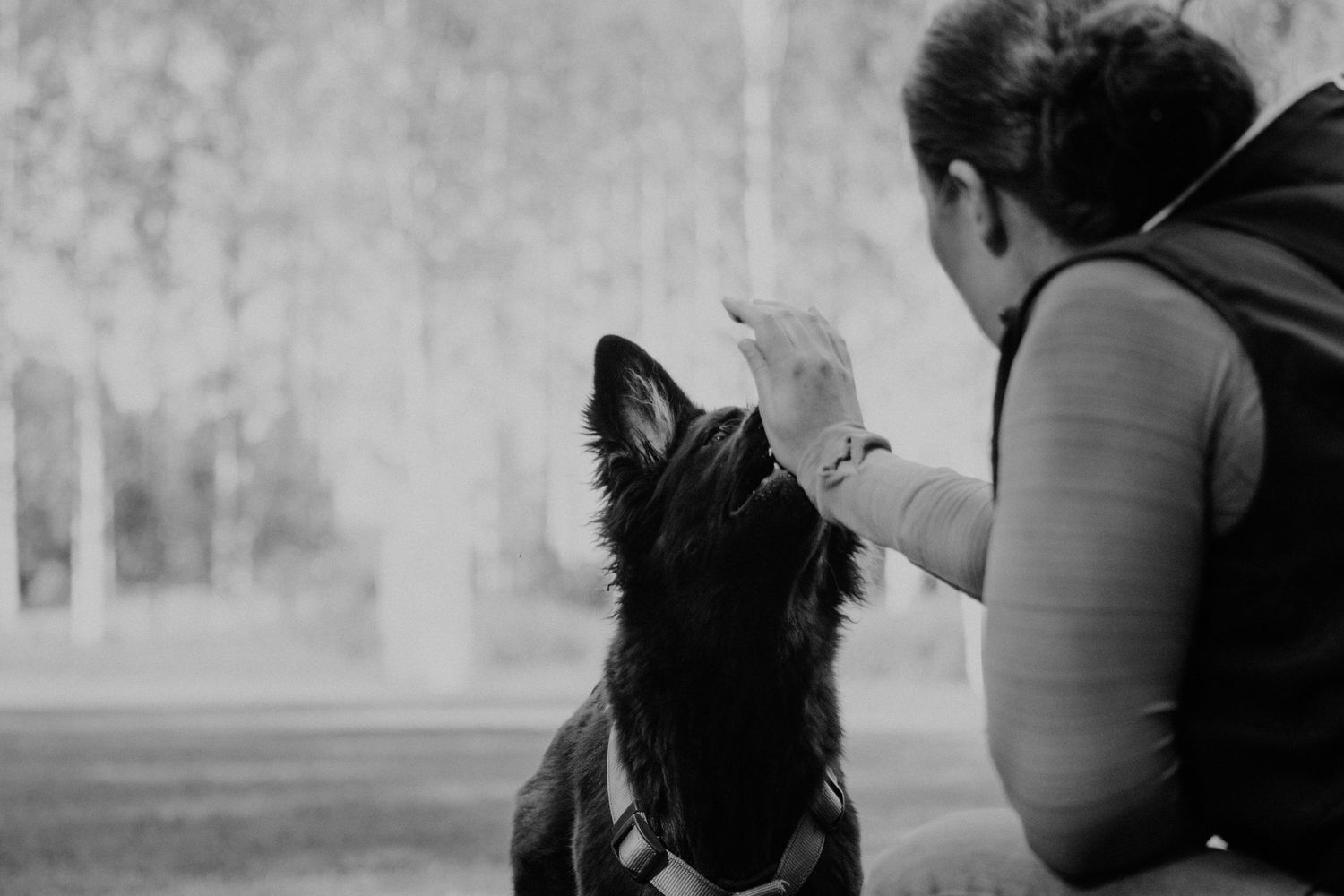 A close-up black and white photo of a person interacting with an attentive black dog.