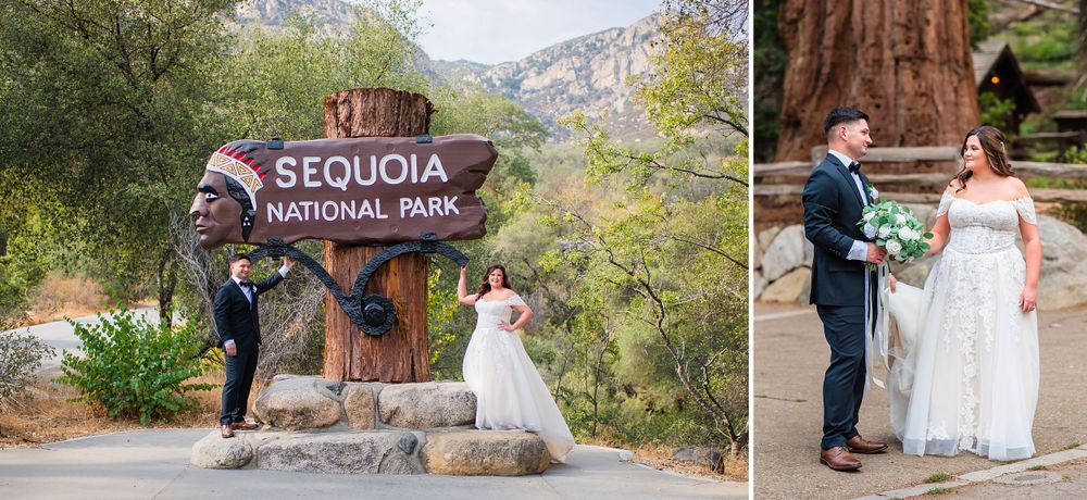 elopement wedding in sequoia national park california